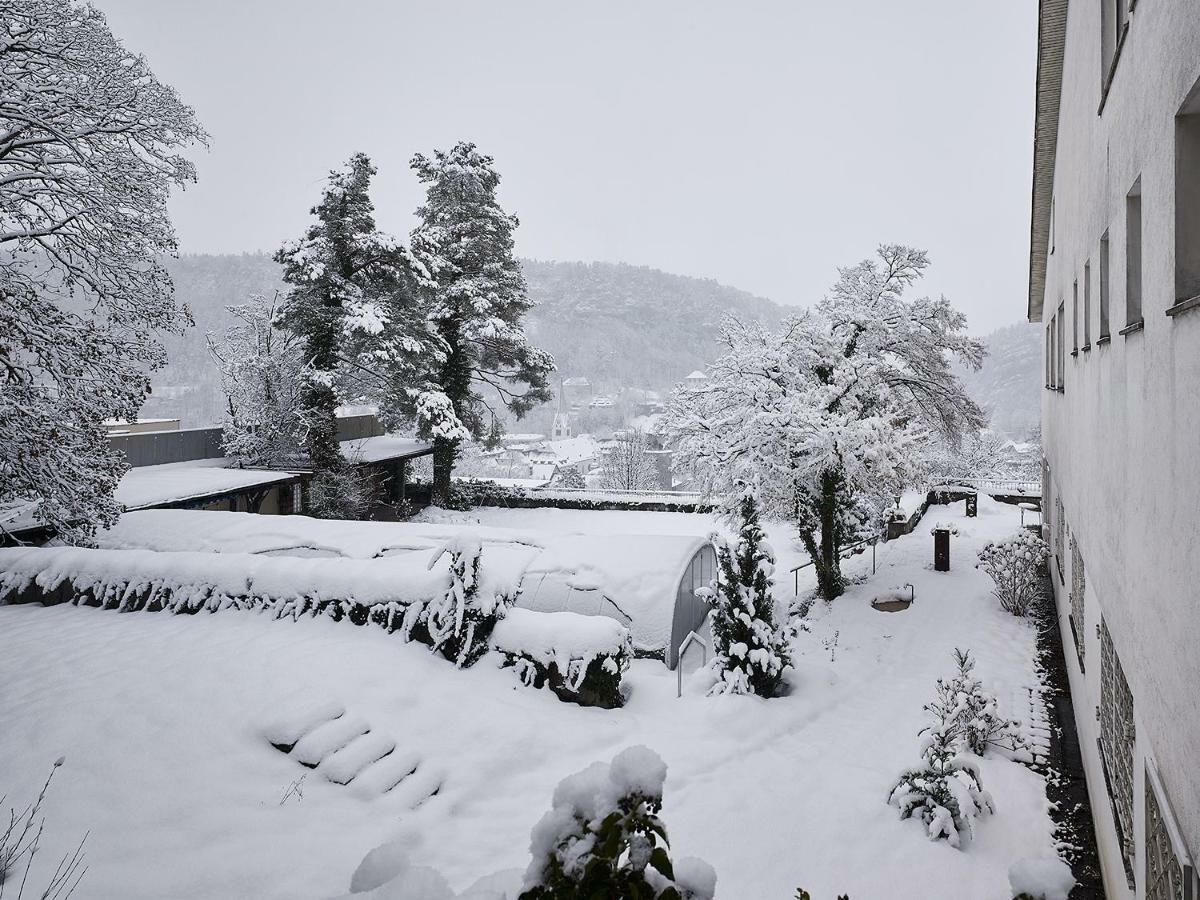 Villa Muller Feldkirch Extérieur photo
